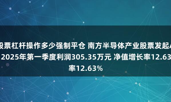 股票杠杆操作多少强制平仓 南方半导体产业股票发起A：2025年第一季度利润305.35万元 净值增长率12.63%