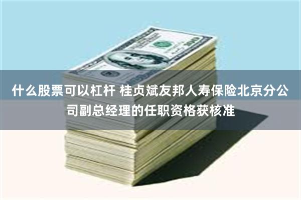 什么股票可以杠杆 桂贞斌友邦人寿保险北京分公司副总经理的任职资格获核准
