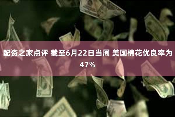 配资之家点评 截至6月22日当周 美国棉花优良率为47%