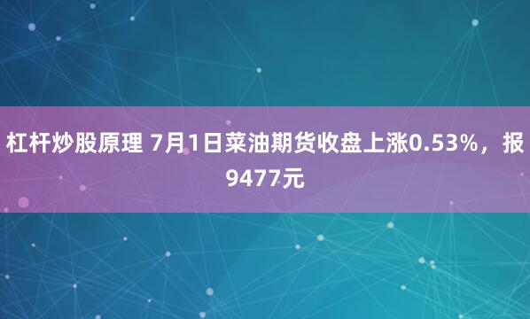 杠杆炒股原理 7月1日菜油期货收盘上涨0.53%，报9477元